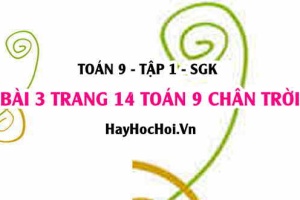 Bài 3 trang 14 Toán 9 tập 1 Chân trời sáng tạo SGK